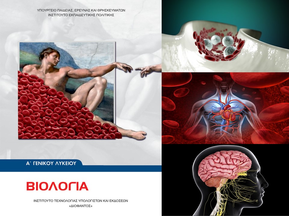 Εικόνα επιλογής