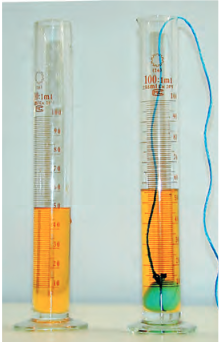 Εικόνα επιλογής