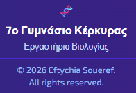 καρυότυπος